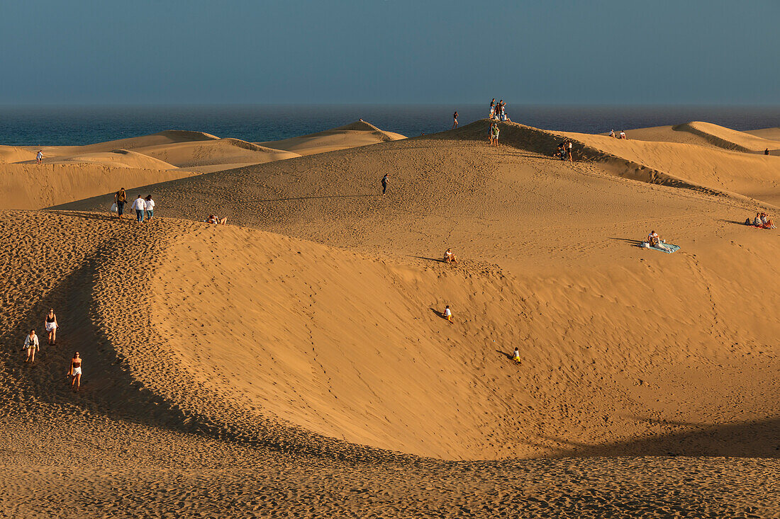 Maspalomas Sand Dunes, Gran Canaria, Canary Islands, Spain, Atlantic, Europe