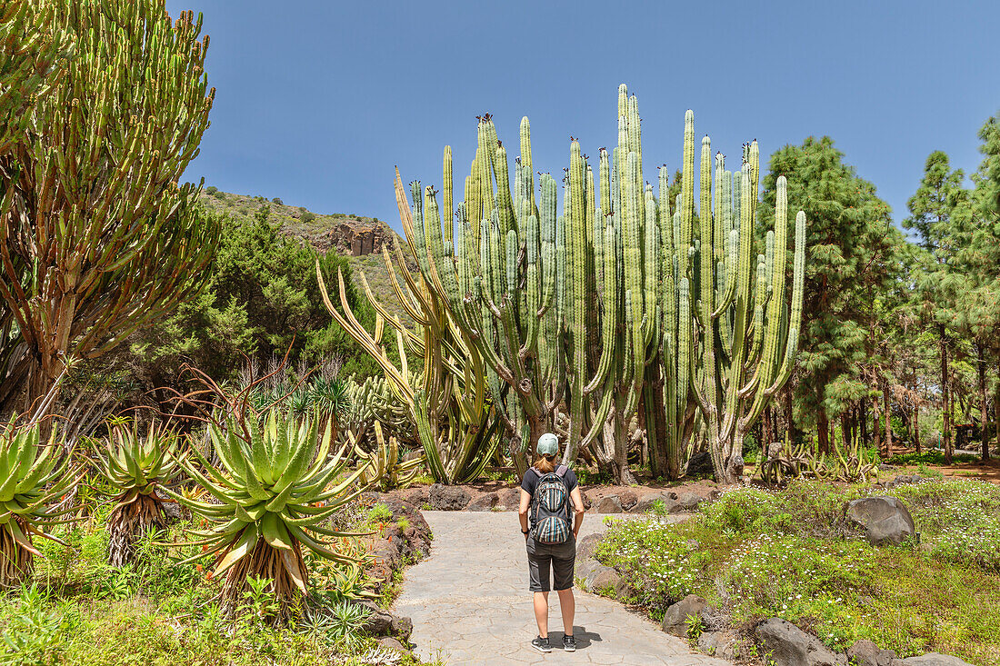 Botanical garden Jardin Canario Viera y Clavijo, near Las Palmas de Gran Canaria, Gran Canaria, Canary Islands, Spain, Atlantic, Europe