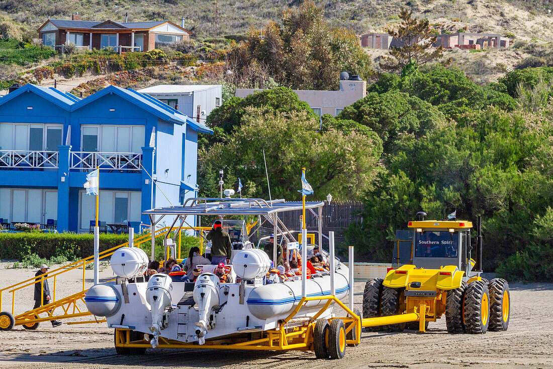 A commercial whale watching boat being launched at the beach at low tide in Puerto Pyramides, Golfo Nuevo, Argentina, South America