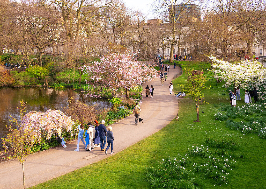 Springtime in St. James's Park, London, England, United Kingdom, Europe