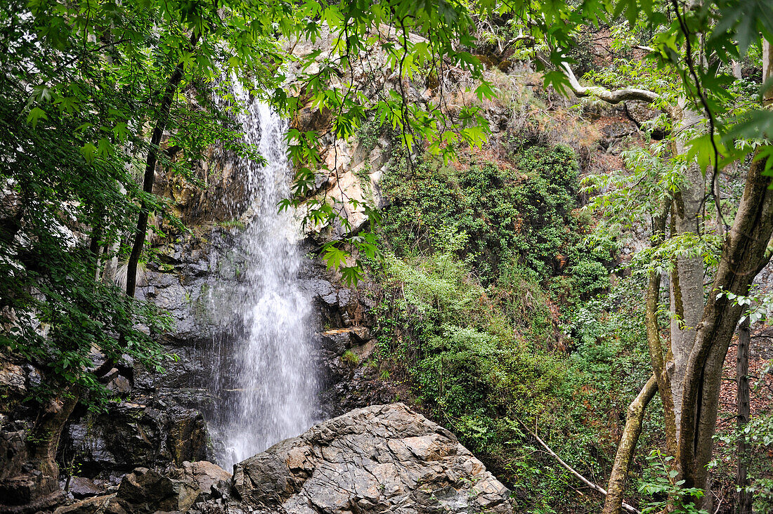 Kaledonia-Wasserfall im Troodos-Gebirge, Zypern, Östliches Mittelmeer, Europa