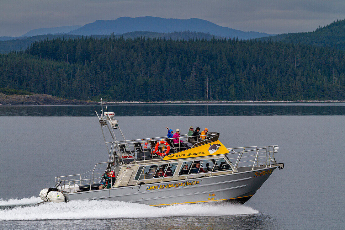 Ein Blick auf das kommerzielle Walbeobachtungsschiff in der Johnstone Strait, British Columbia, Pazifischer Ozean, Kanada, Nordamerika