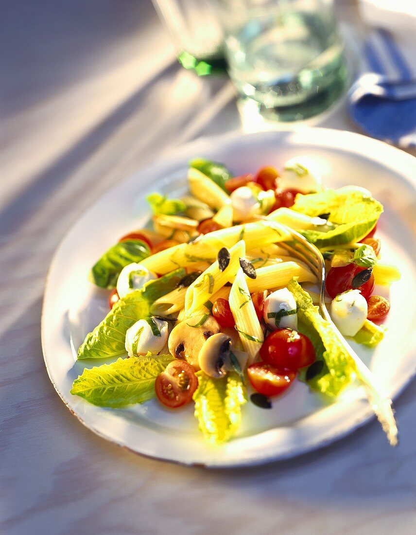 Pasta salad with cocktail tomatoes, mozzarella & mushrooms