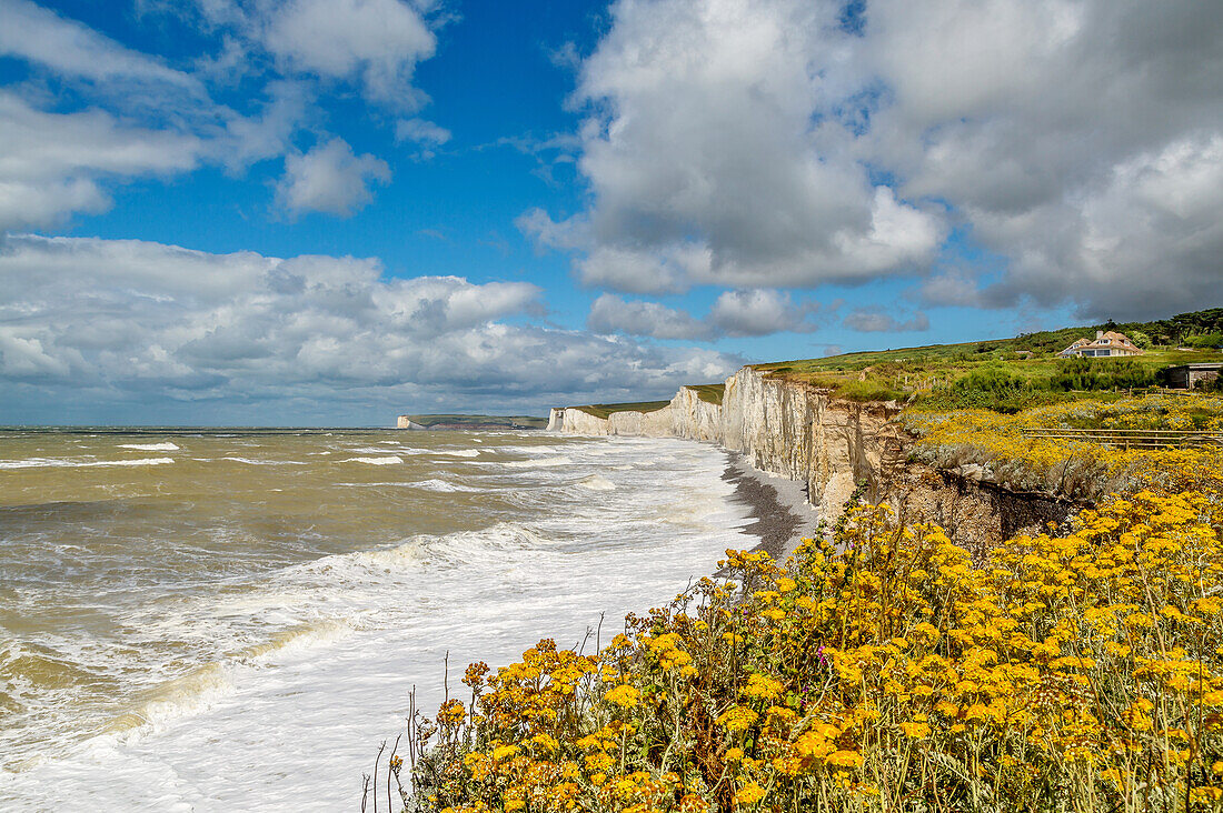 The Seven Sisters chalk cliffs, Seven Sisters Country Park, South Downs National Park, seen from Birling Gap, near Eastbourne, East Sussex, England, United Kingdom, Europe