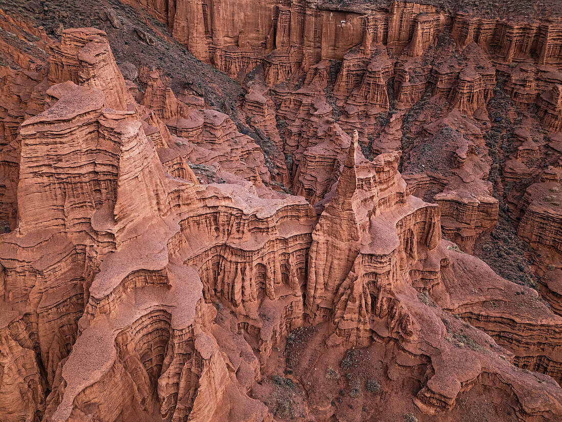 Kok-Moinok Canyon, a clay-sand structure formed on the slopes of arid mountains cut by water streams, Kyrgyzstan, Central Asia, Asia