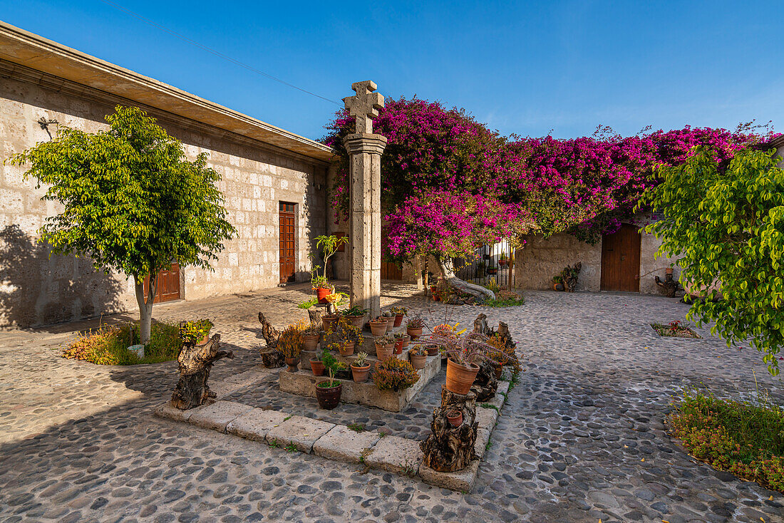 Garden at Monasterio y Museo de la Recoleta, UNESCO World Heritage Site, Arequipa, Arequipa Province, Arequipa Region, Peru, South America