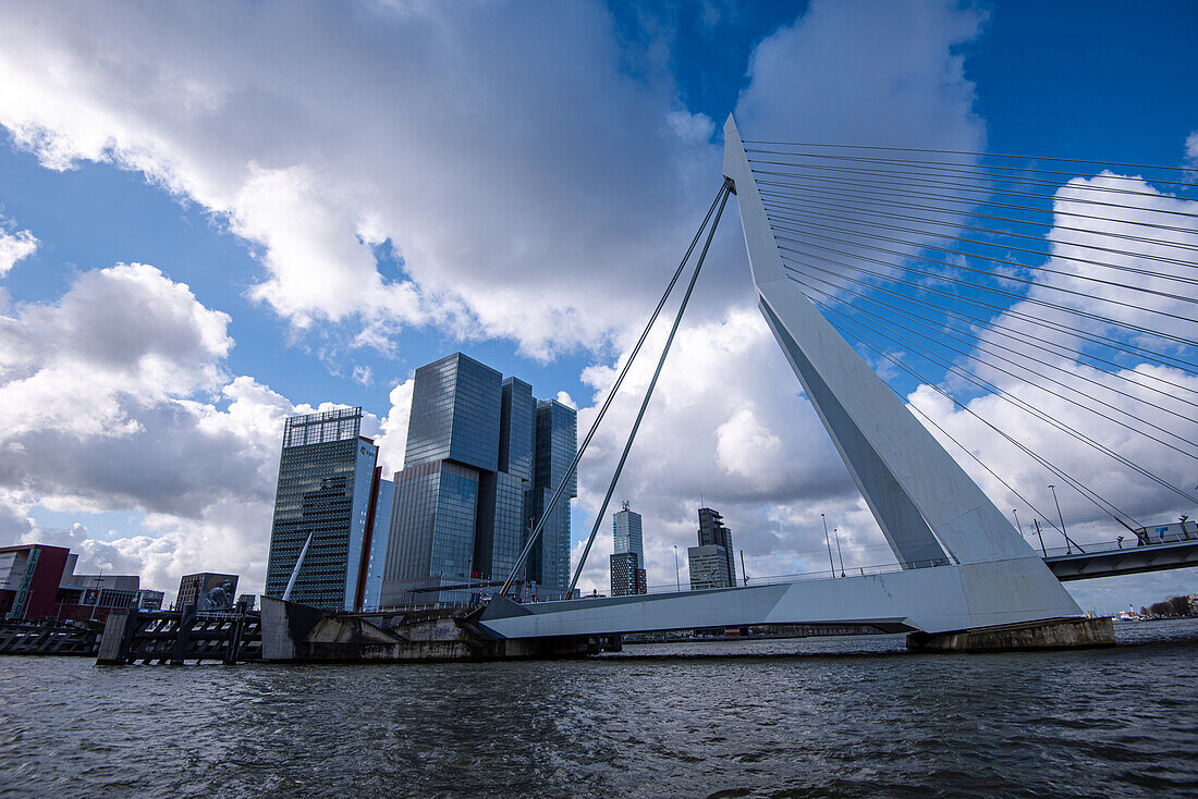 Erasmusbrücke und Architektur des Kop van Zuid, Rotterdam, Niederlande, Europa