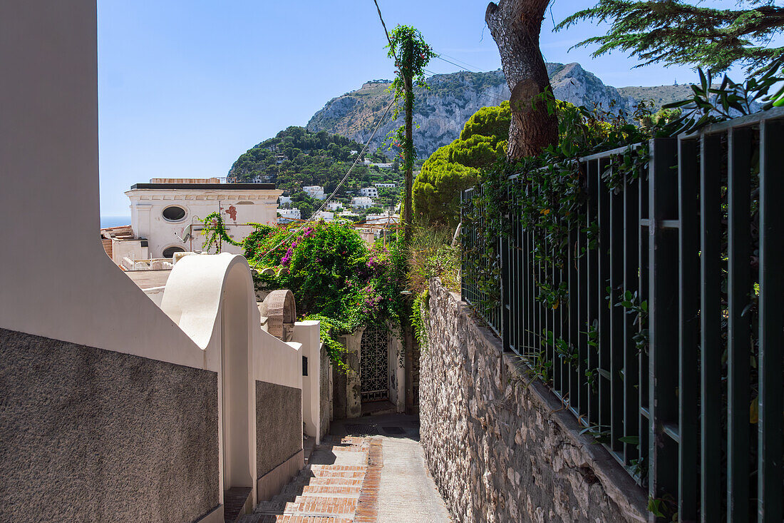 Enge traditionelle Gasse zwischen von Steinmauern umgebenen Häusern in der Hauptstadt der Insel Capri, Golf von Neapel, Kampanien, Italien, Europa