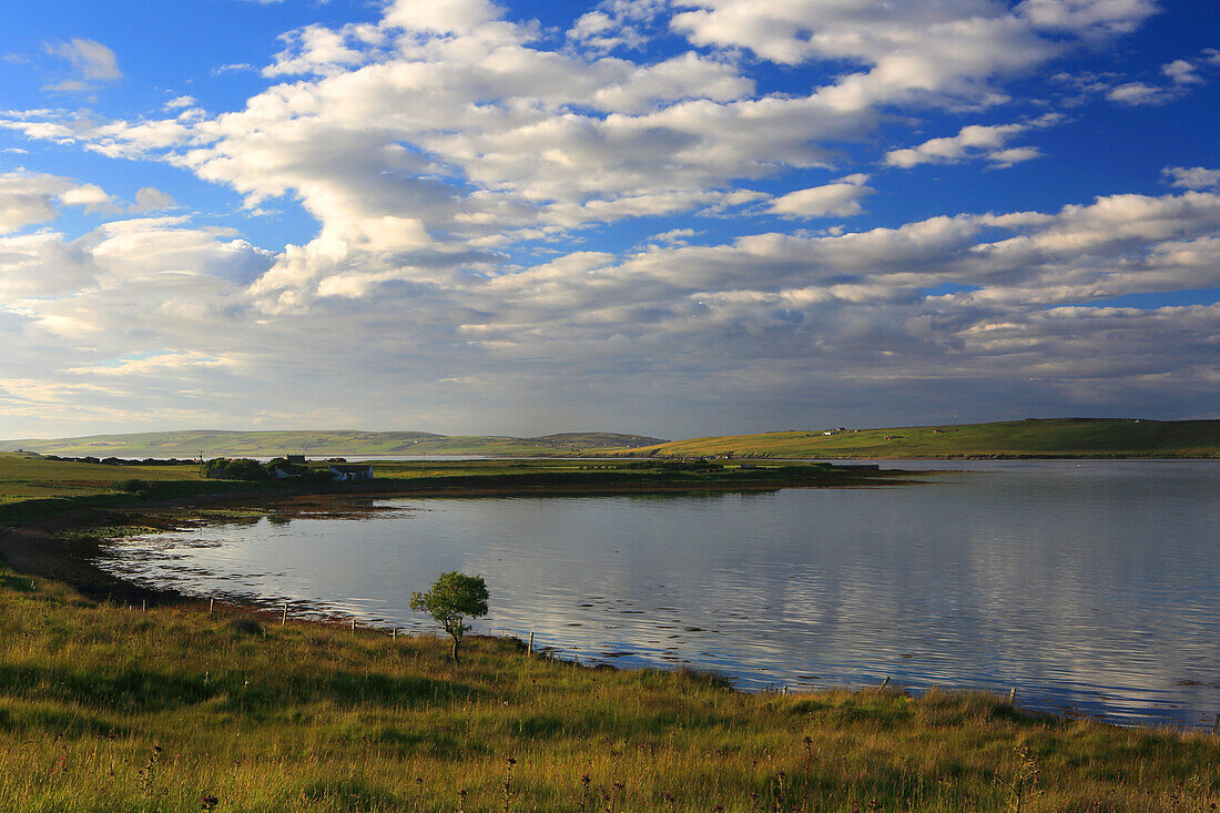 Landschaft der Orkney-Inseln im Sommer von Hoy aus, Orkneys, Schottland, Vereinigtes Königreich, Europa