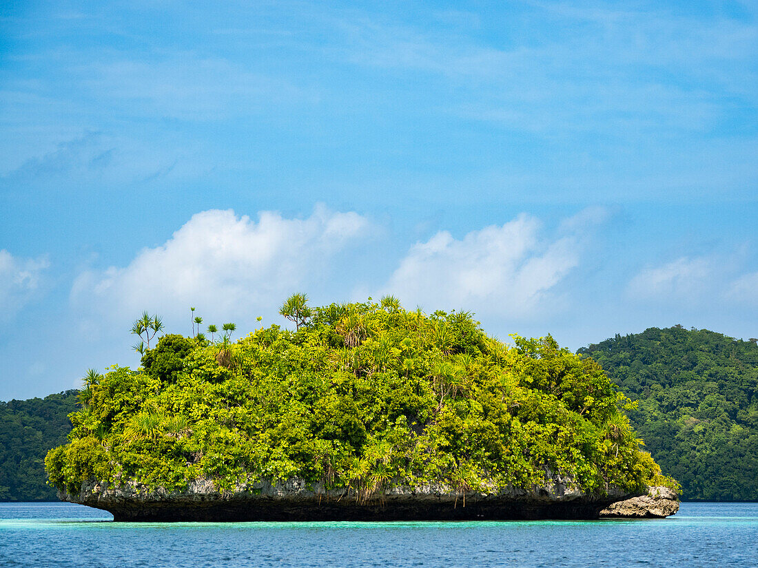 Example of the thick foliage and undercut islets, Palau, Micronesia, Pacific