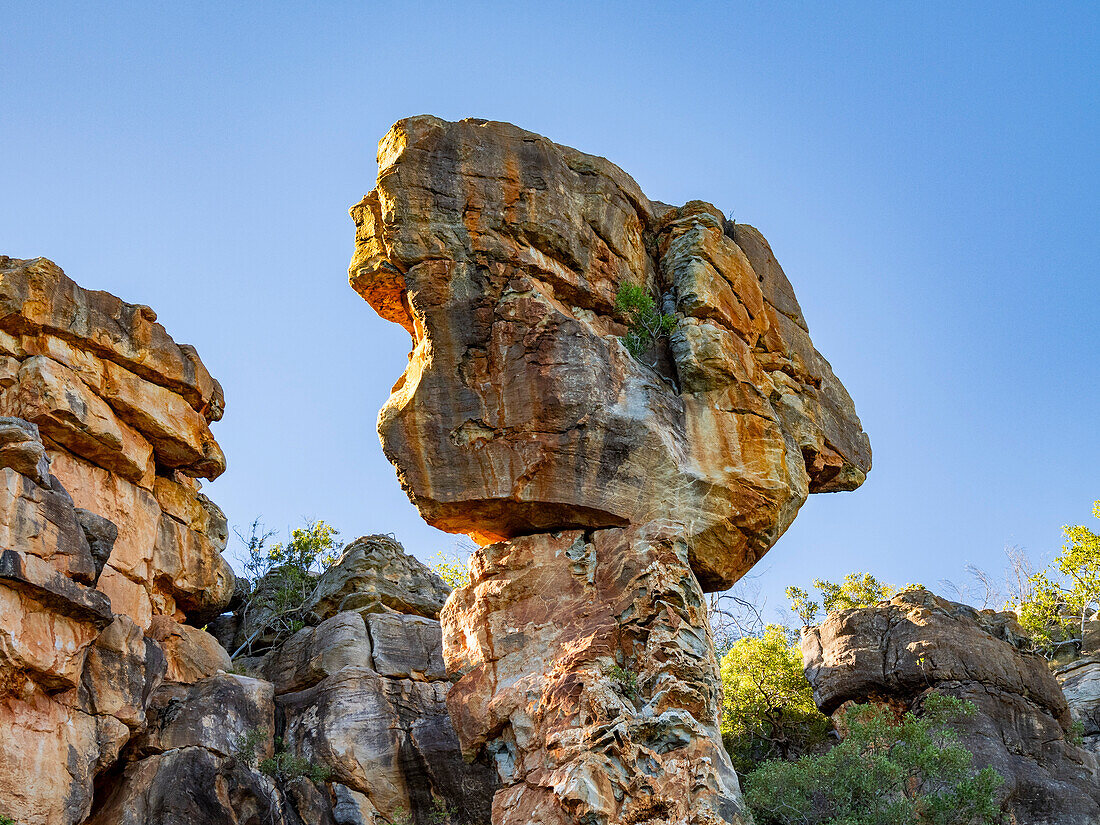 King Leopold sandstone formation known as Thor's Hammer, Hunter River, Frederick Harbor, Kimberley, Western Australia, Australia, Pacific