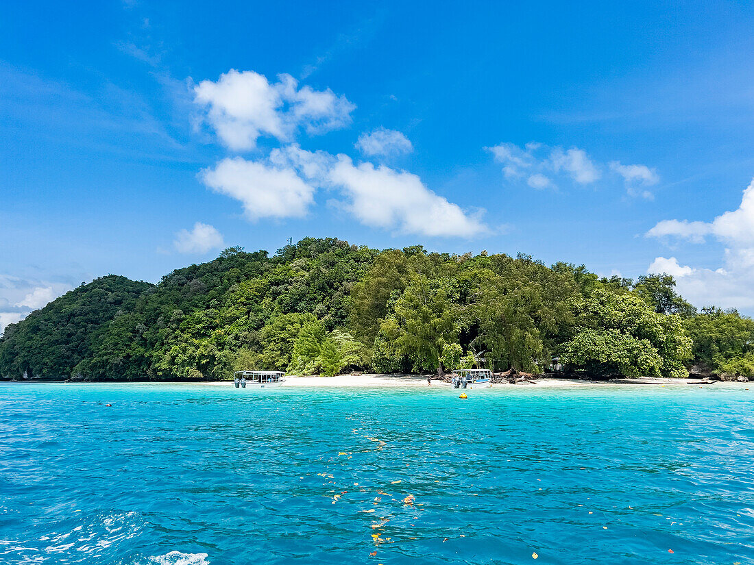 Example of the thick foliage and undercut islets near a tourist island, Palau, Micronesia, Pacific