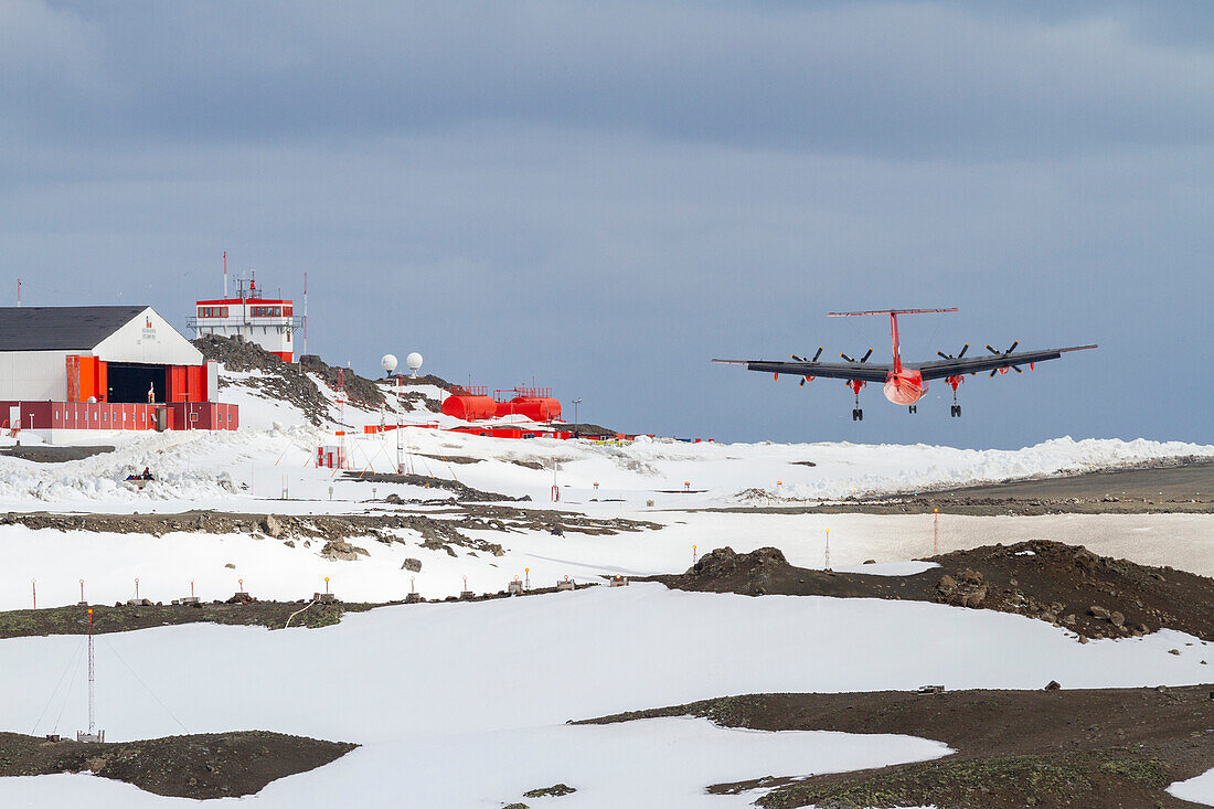 British Antarctic Survey (BAS) research plane landing at the Chilean Research base Frei on King George Island, Antarctica, Polar Regions