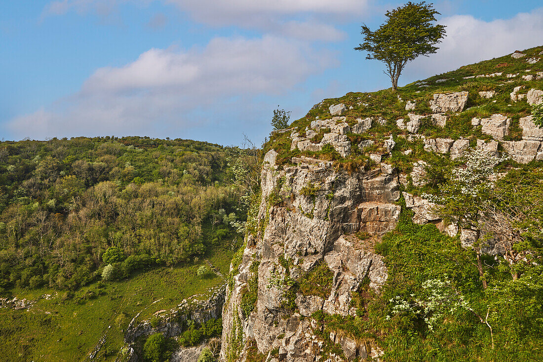 Blick über die Klippen der Cheddar-Schlucht, von der Südseite aus gesehen, Cheddar, Somerset, England, Vereinigtes Königreich, Europa