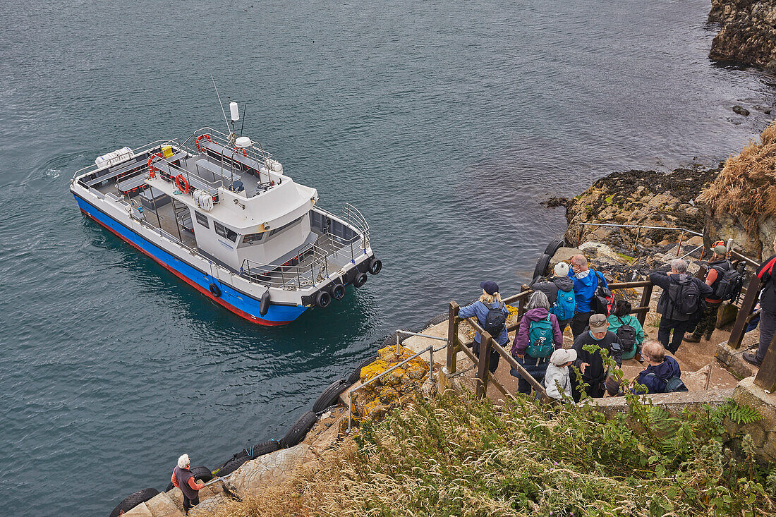 Die Fähre von Skomer bereitet sich auf die Aufnahme von Passagieren auf der Insel Skomer vor der Küste von Pembrokeshire, Wales, Vereinigtes Königreich, Europa