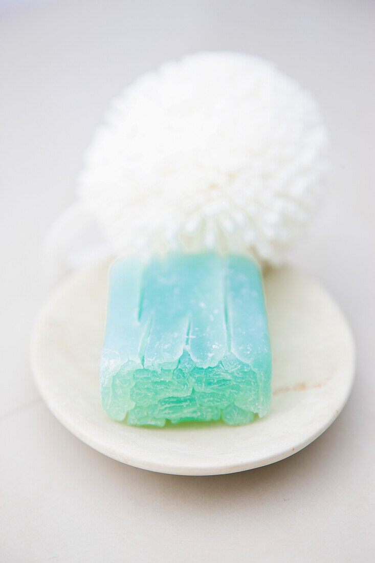 Close up of a green soap and bath sponge on a soap dish