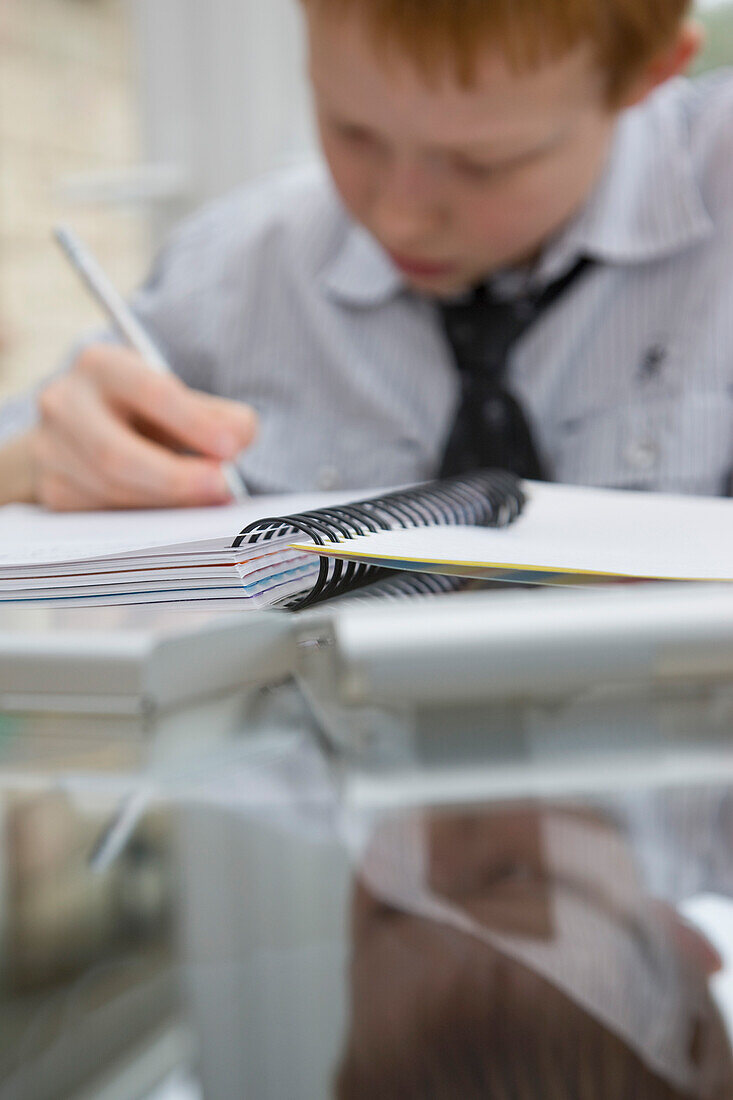 Boy doing homework