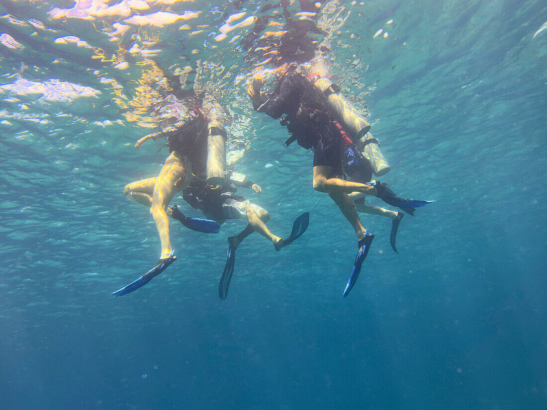 Familie beim Tauchen im Meer, Kingstown, St. Vincent und die Grenadinen