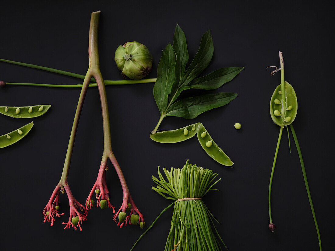 Flat lay still life green vegetables on black background