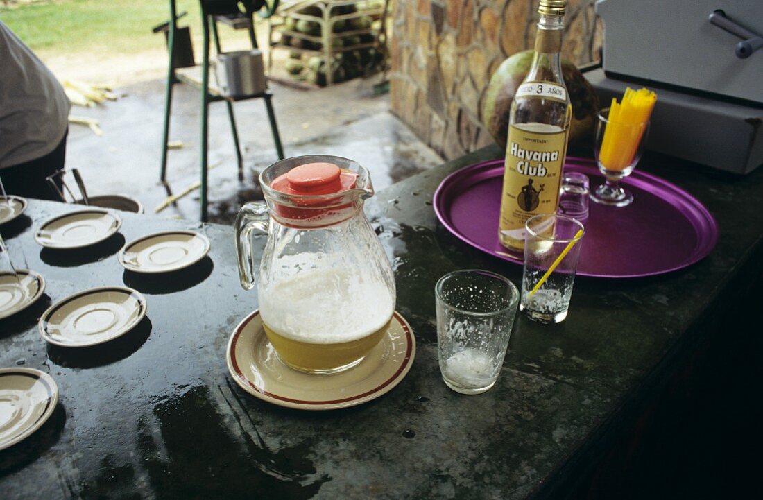 Ingredients for Daiquiri (sugar cane juice, rum) on a counter