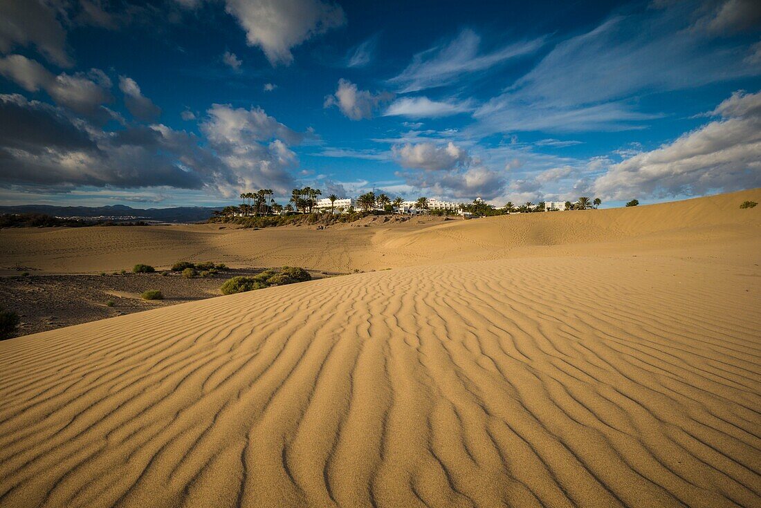 Spain, Canary Islands, Gran Canaria Island, Maspalomas, Maspalomas Dunes National Park