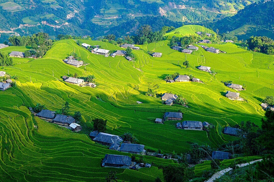 Vietnam, Ha Giang, Hoang Su Phi, ein Dorf der ethnischen Gruppe der La Chi inmitten von Reisfeldern (Terrasse)