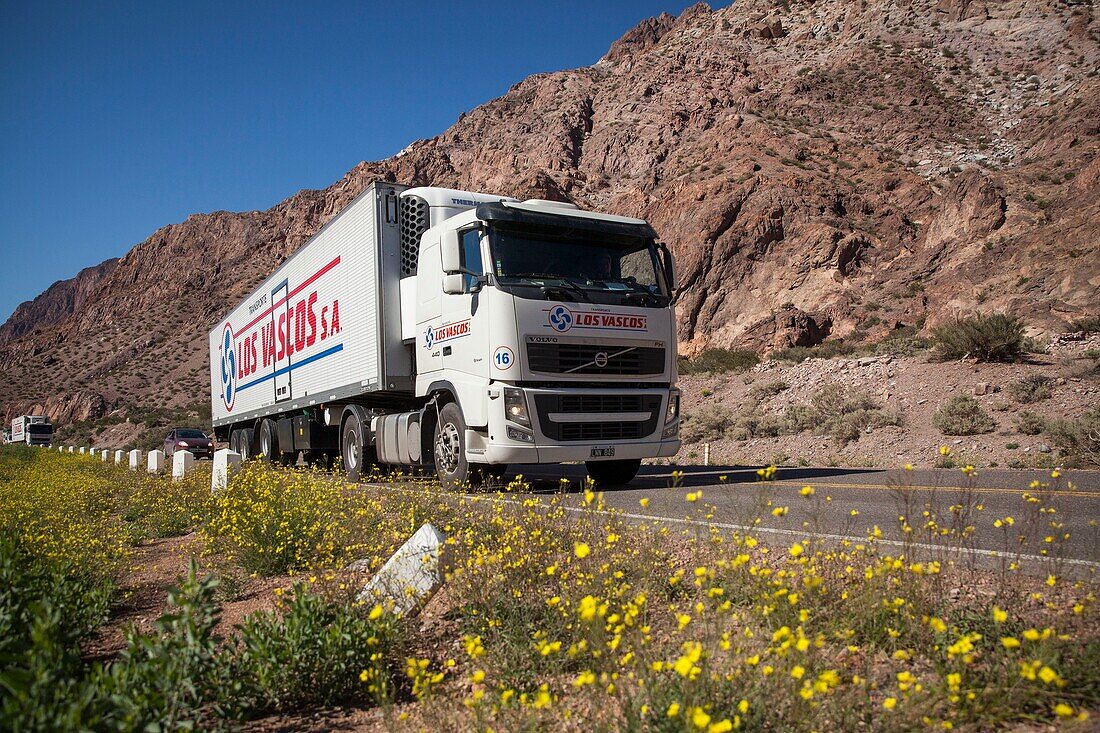 Argentina, Mendoza, Vicente Lezea, Basque immigrant to create a transport company that crosses the Andean cordillera to transport bananas from Chile