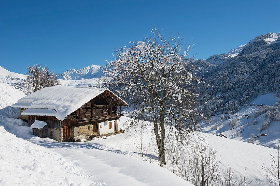 Frankreich, Savoyen, Massif du Beaufortain, Dorf Hauteluce, traditionelles Chalet mit Blick auf die Evettes und den Mont Blanc