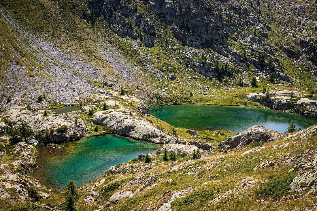 France, Alpes-Maritimes , Mercantour National Park, the rosary of the Vens lakes