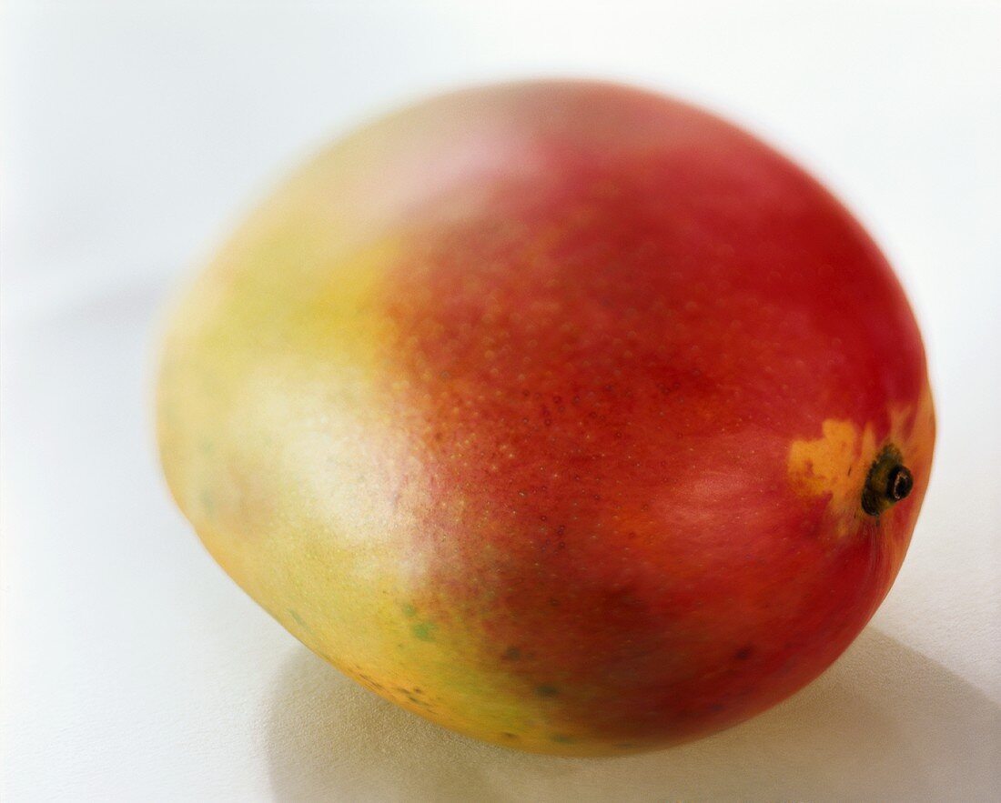 A red and yellow mango