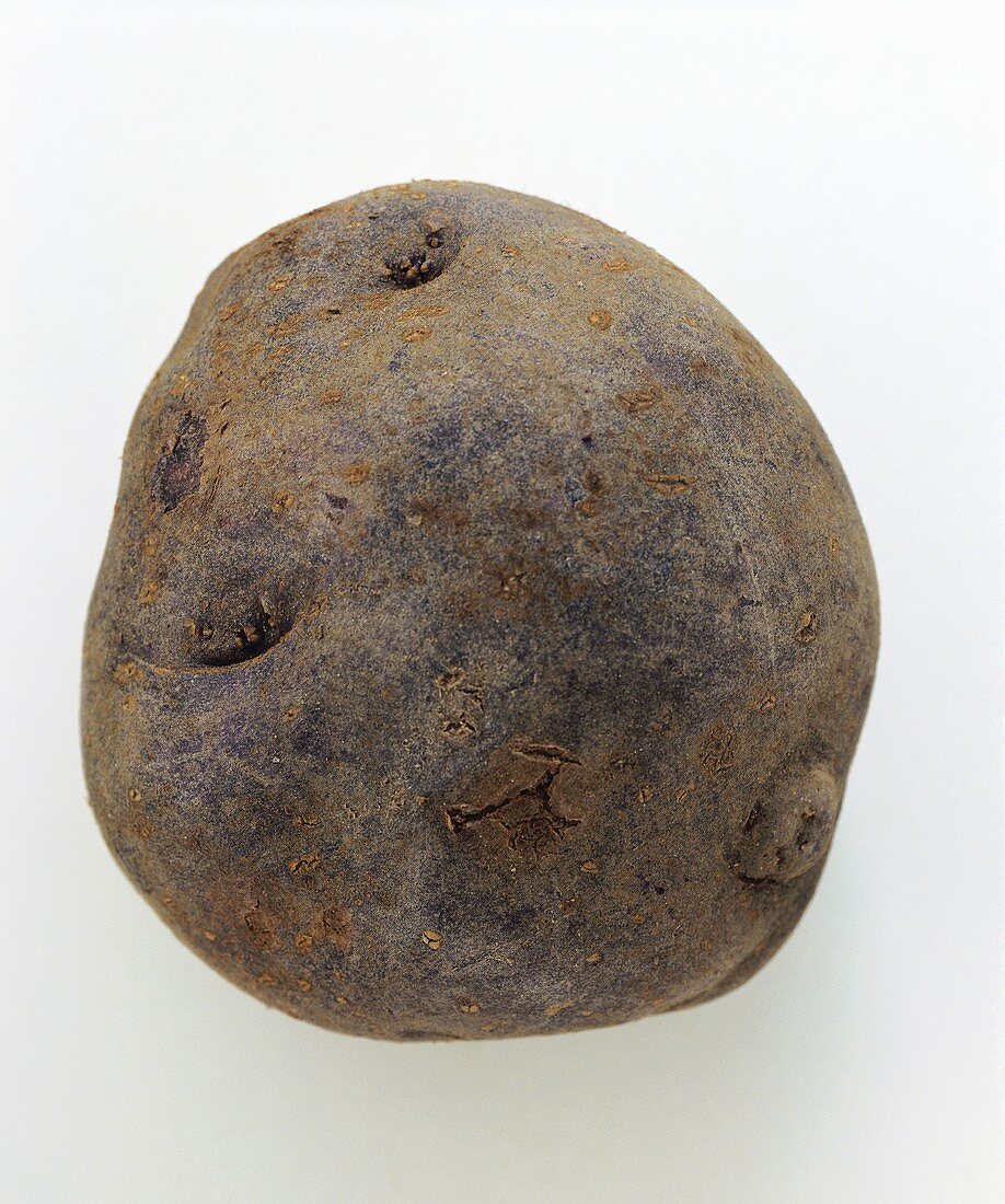 Eine Trüffelkartoffel