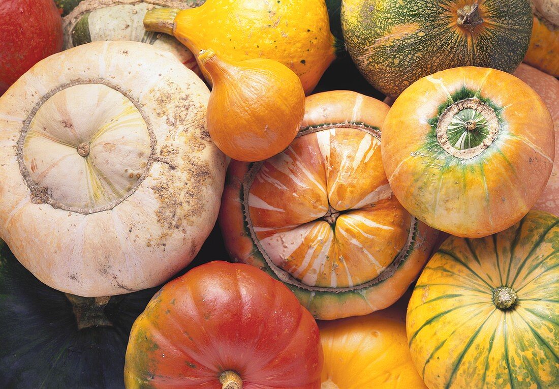 Various decorative pumpkins (filling the picture)