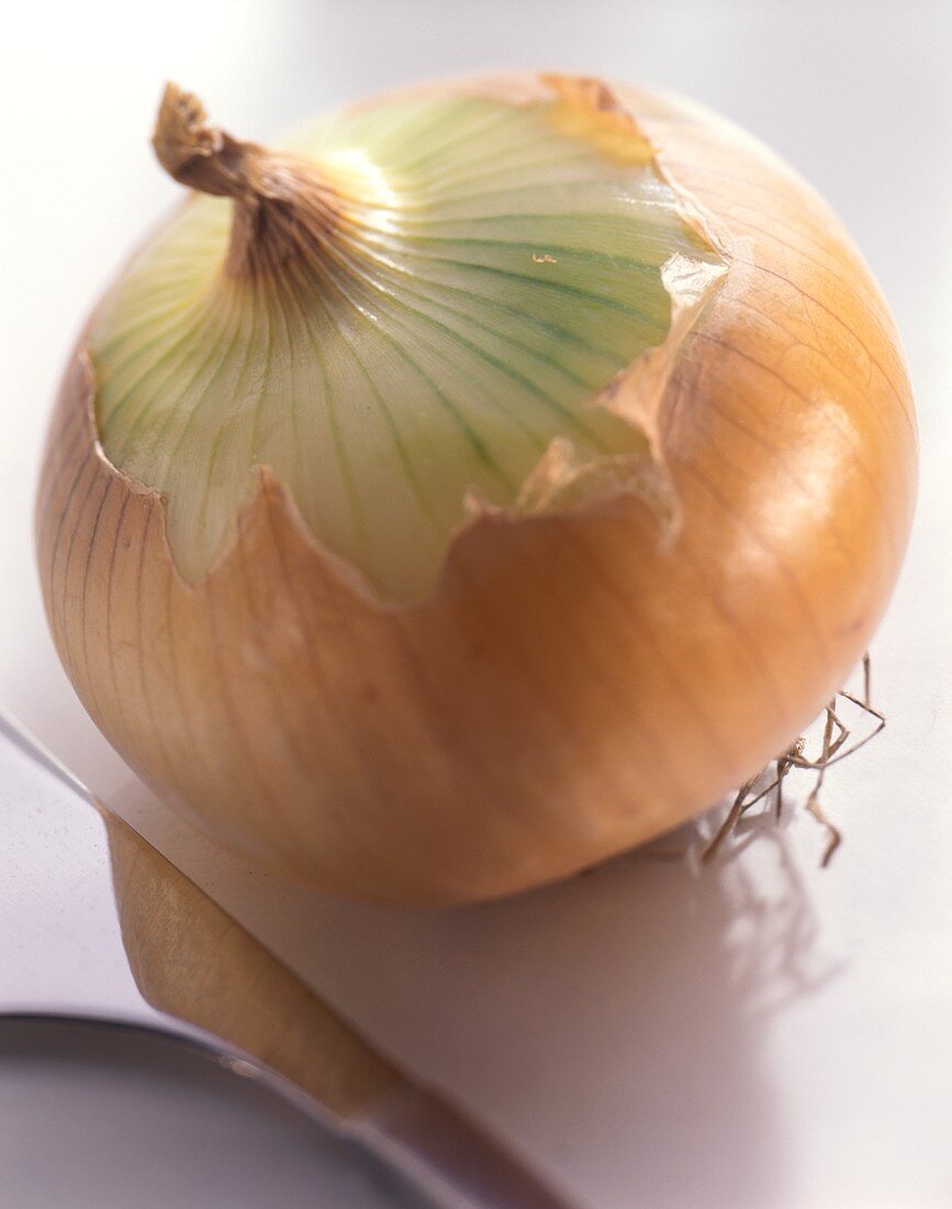 Yellow Onion Partially Peeled