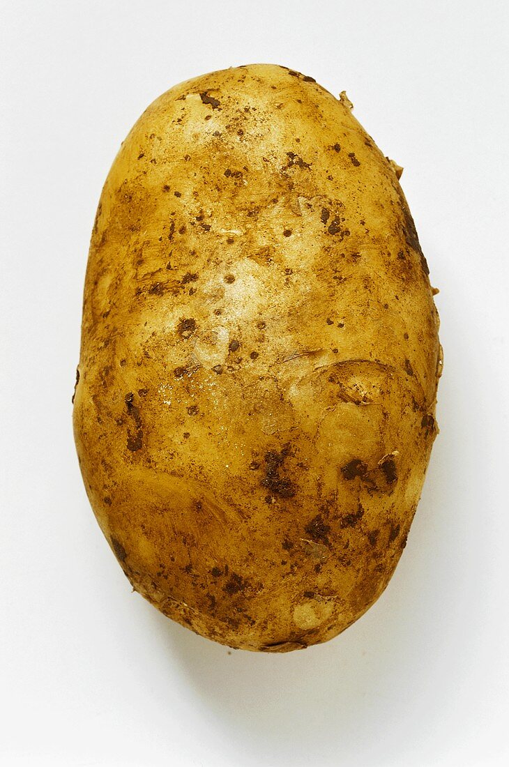 A potato, variety Sieglinde