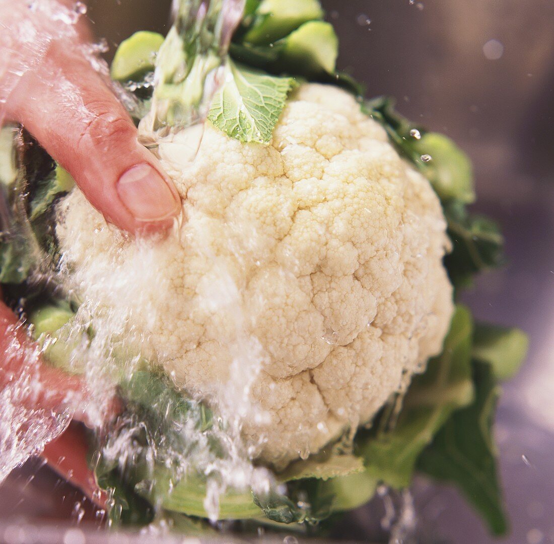 Hand washing cauliflower under running water