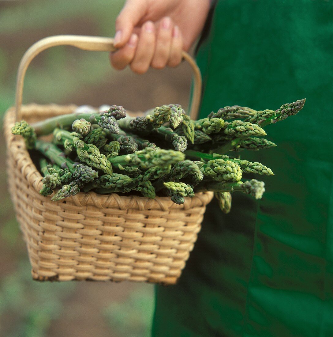A Basket Full of Asparagus