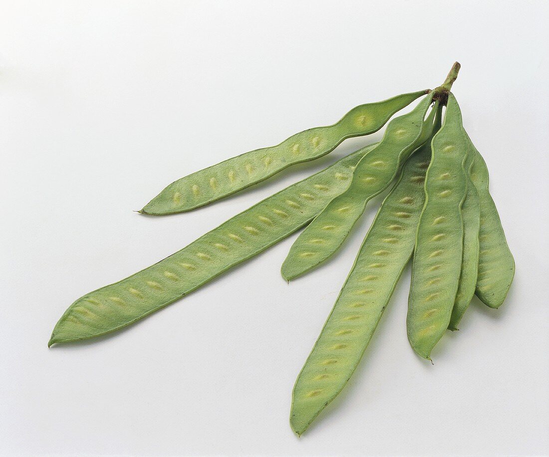 Petai beans (Parkia speciosa) on white background