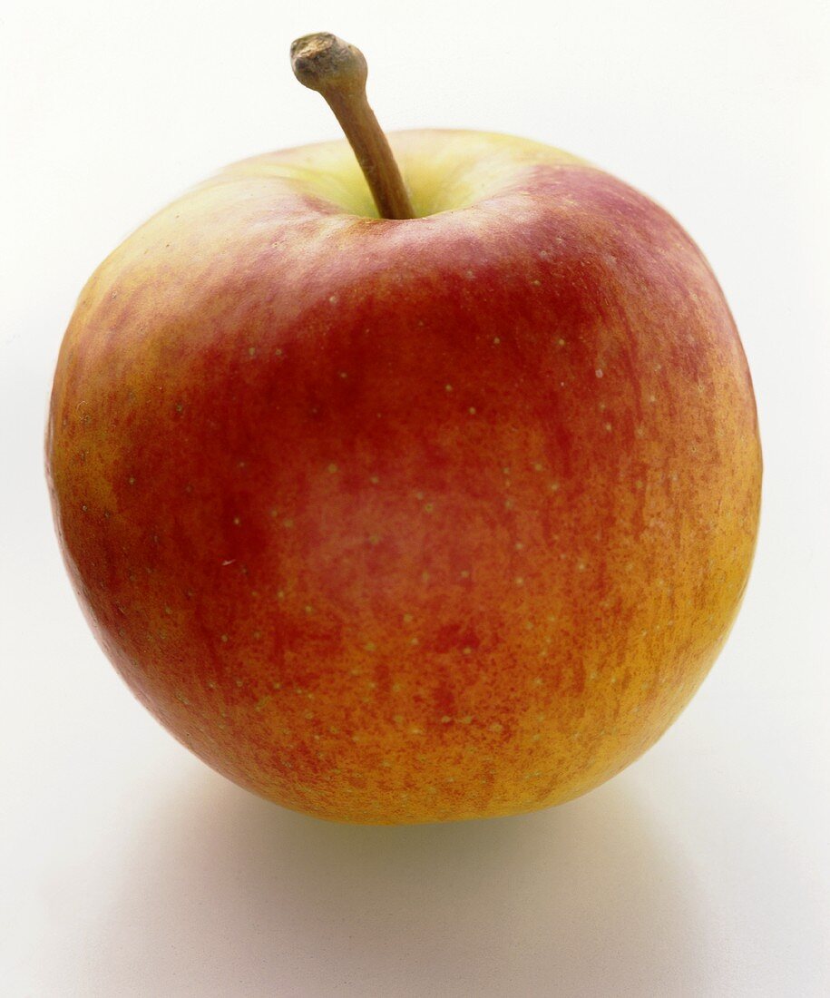 A Jonagold apple