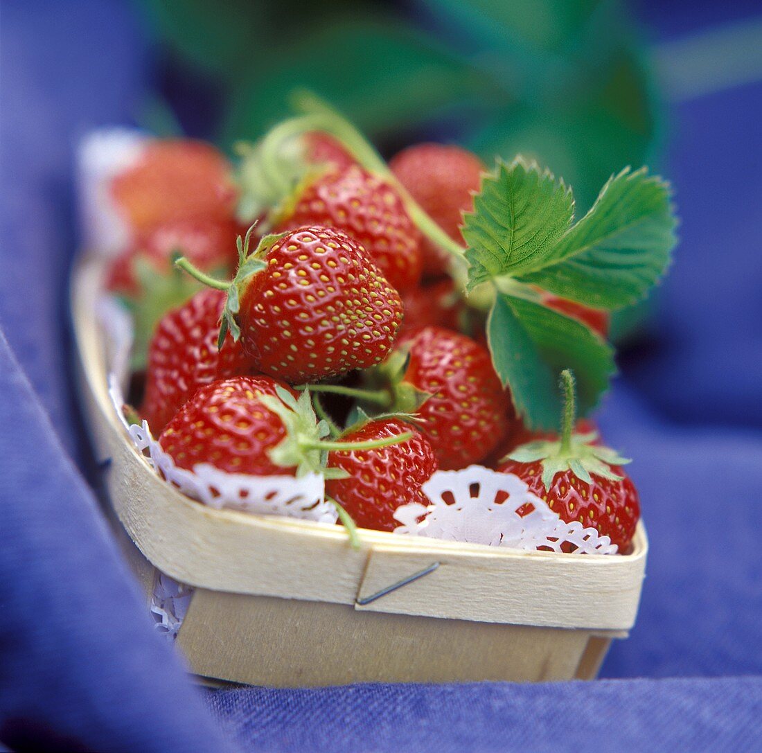 Punnet of strawberries on blue fabric