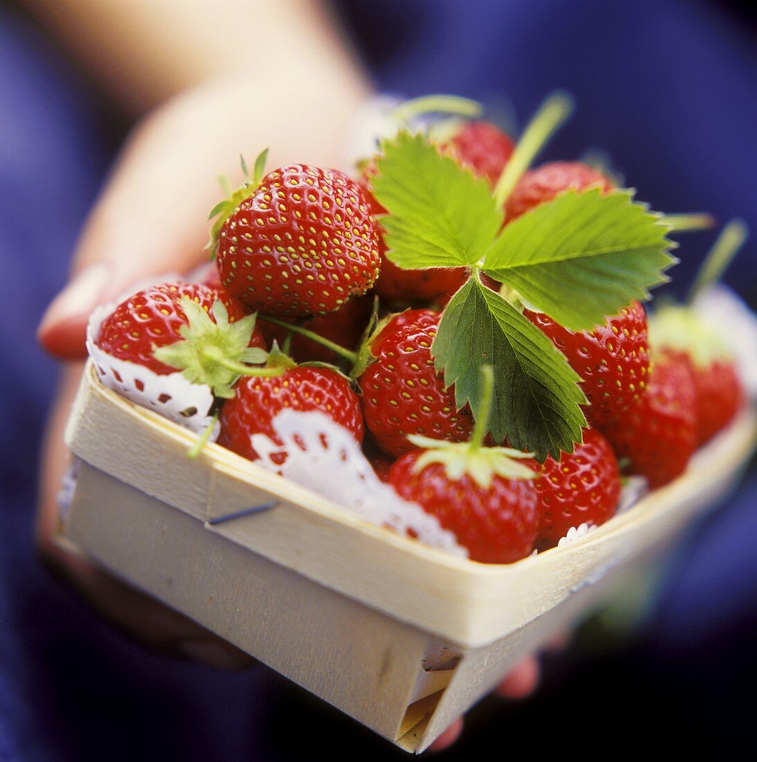 Hand hält Schälchen mit Erdbeeren