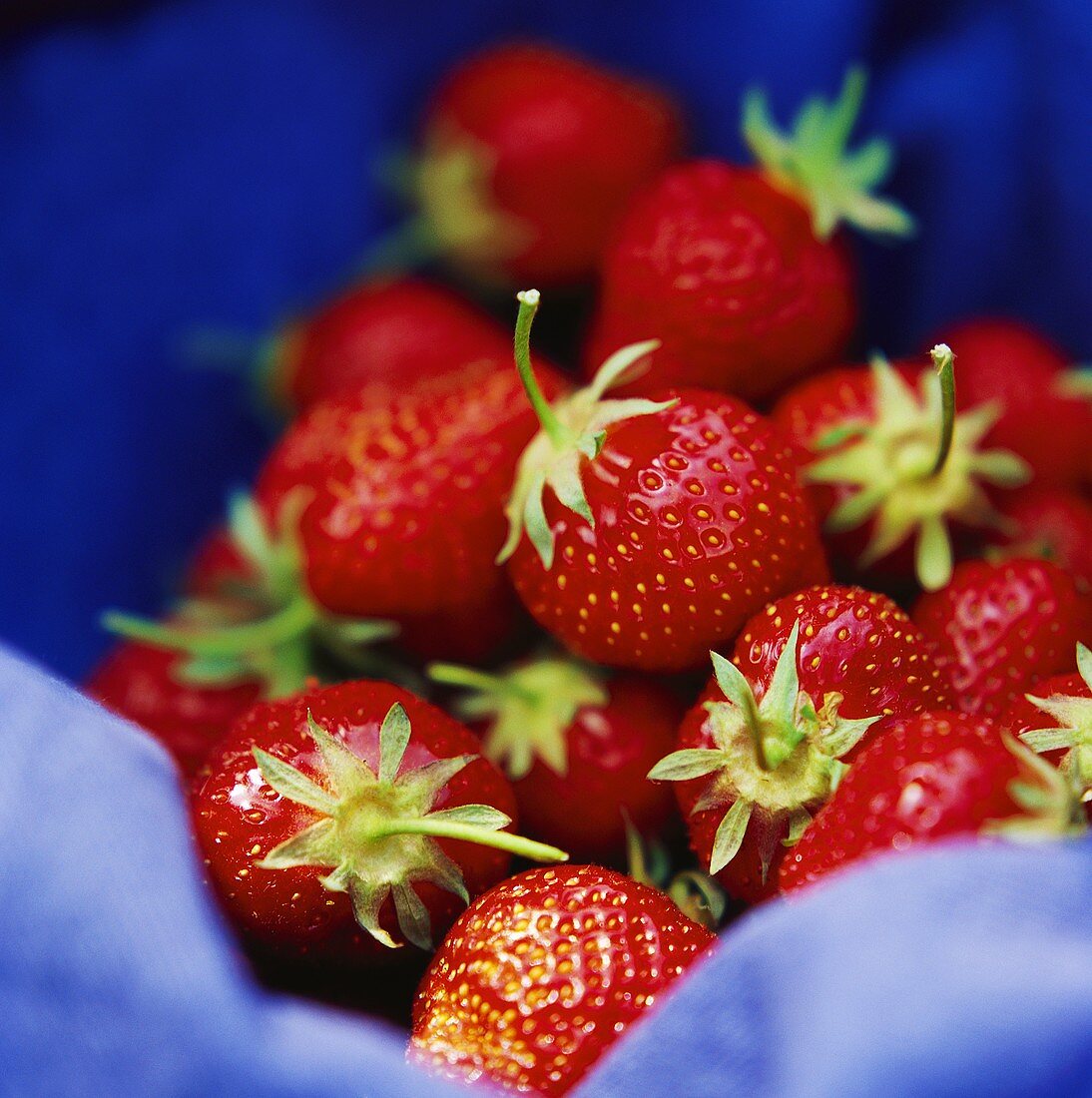 Erdbeeren auf blauem Stoff