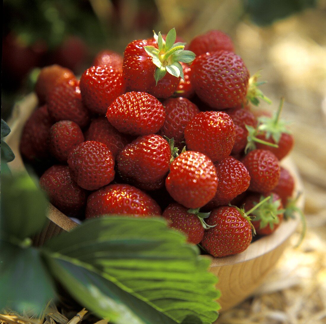 Erdbeeren in einer Holzschale