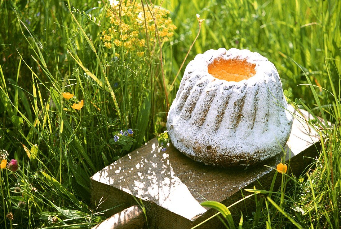 Elsässer Gugelhupf auf Küchenbrett im Gras