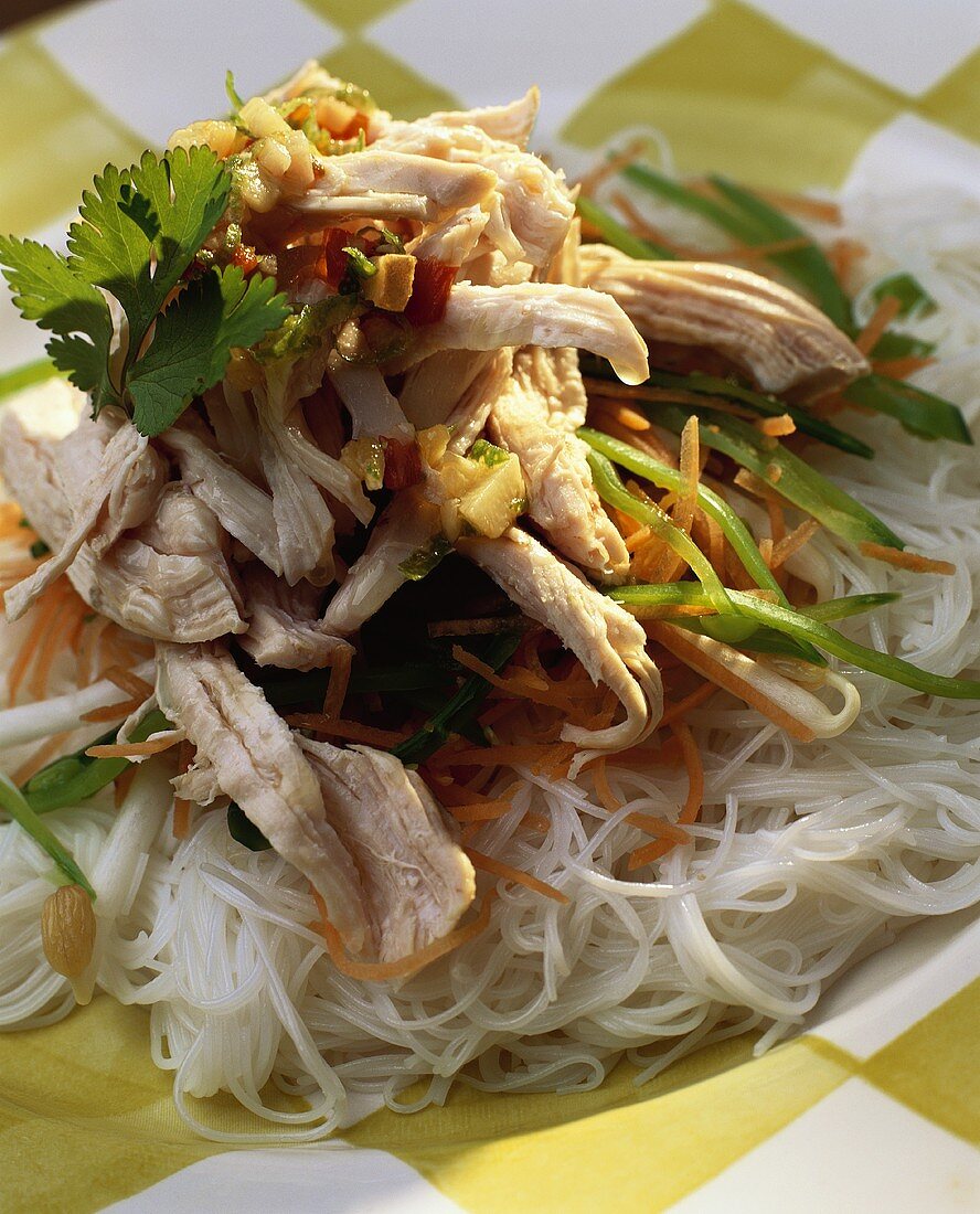 Glass noodles with chicken and vegetable strips