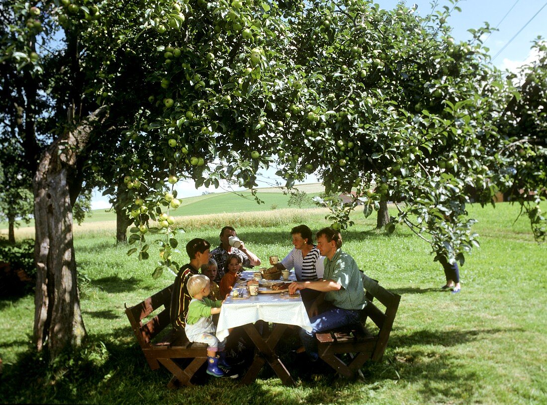 Familie bei der Brotzeit unterm Apfelbaum auf einer Wiese