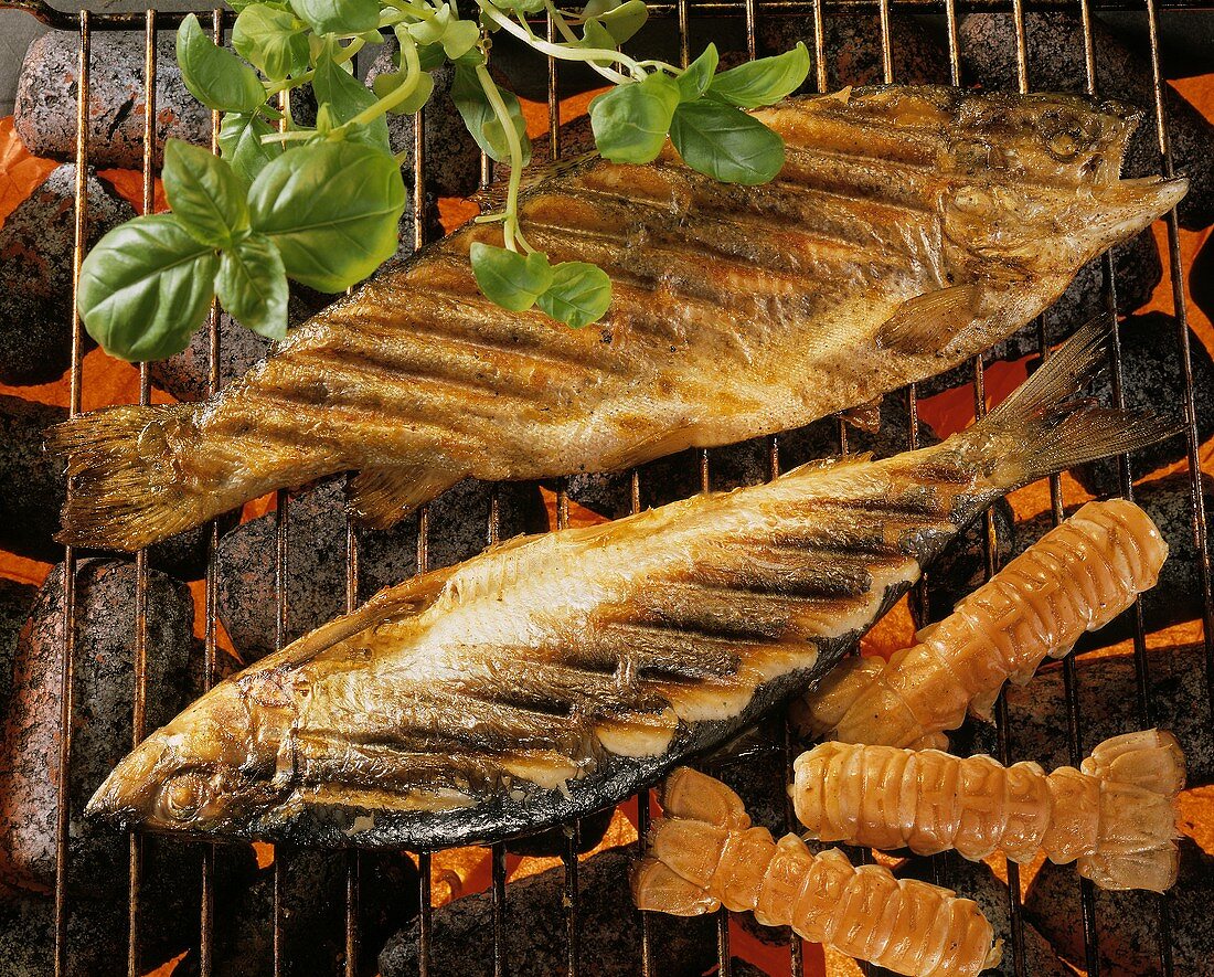 Fish with herbs and scampi on glowing barbecue
