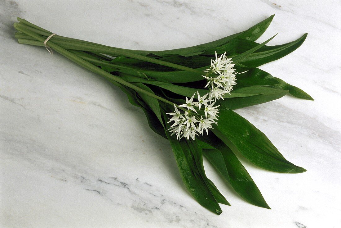 A bunch of ramsons (wild garlic)