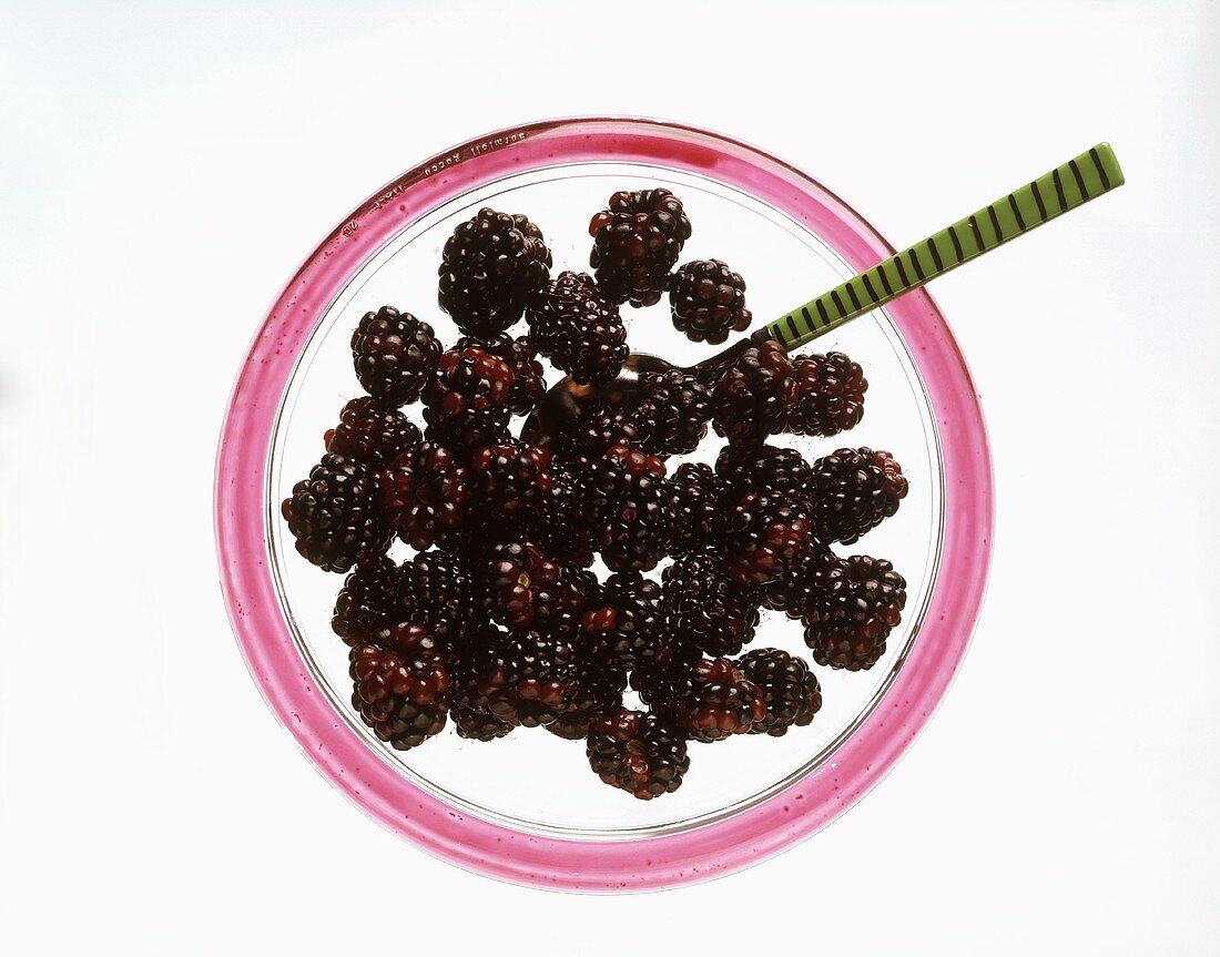 Boysenbeeren im Glasschälchen mit Löffel