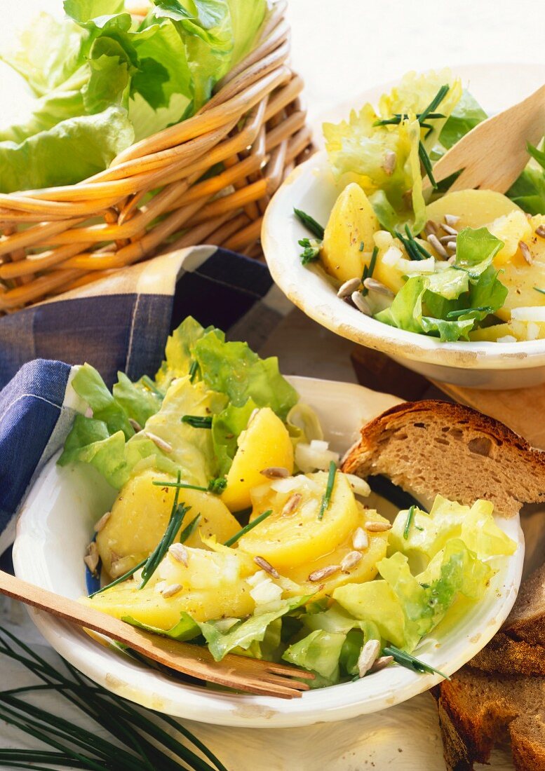 Endive and potato salad with sunflower seeds