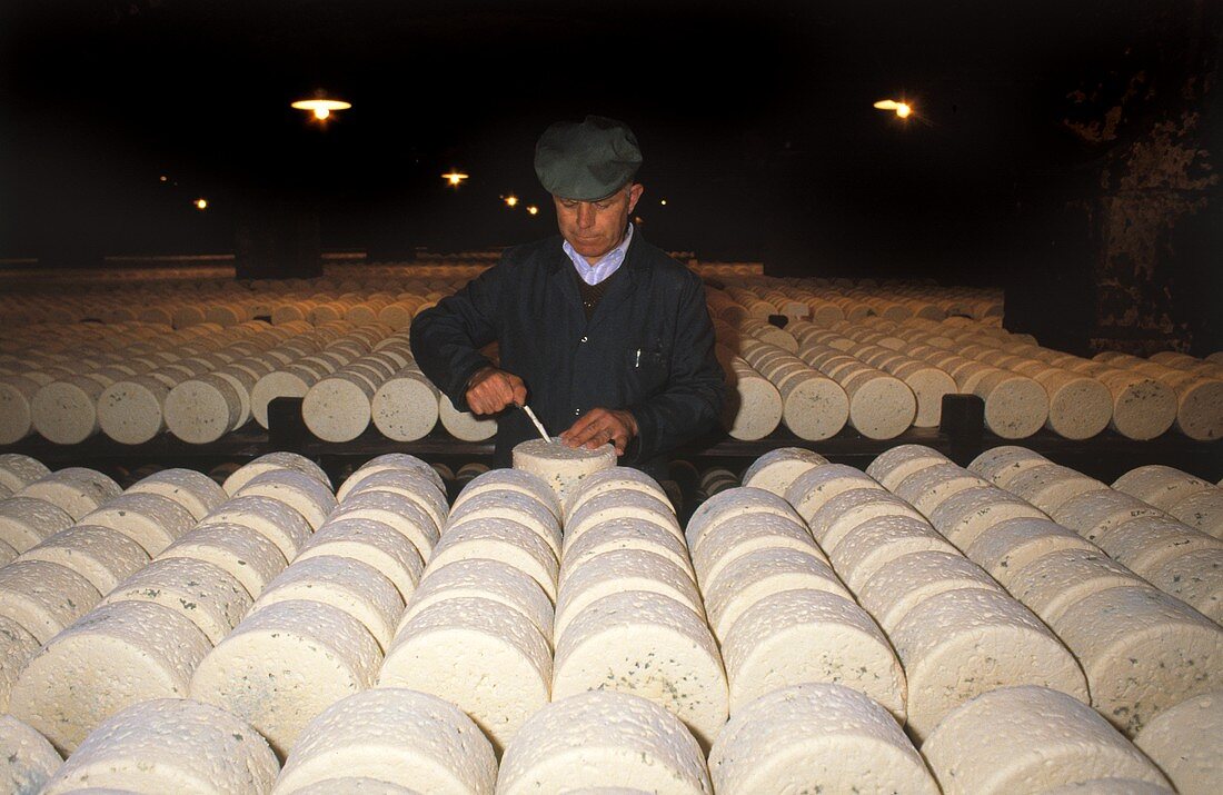 Roquefort-Herstellung: Mann bohrt Löcher für Edelpilz in Käse